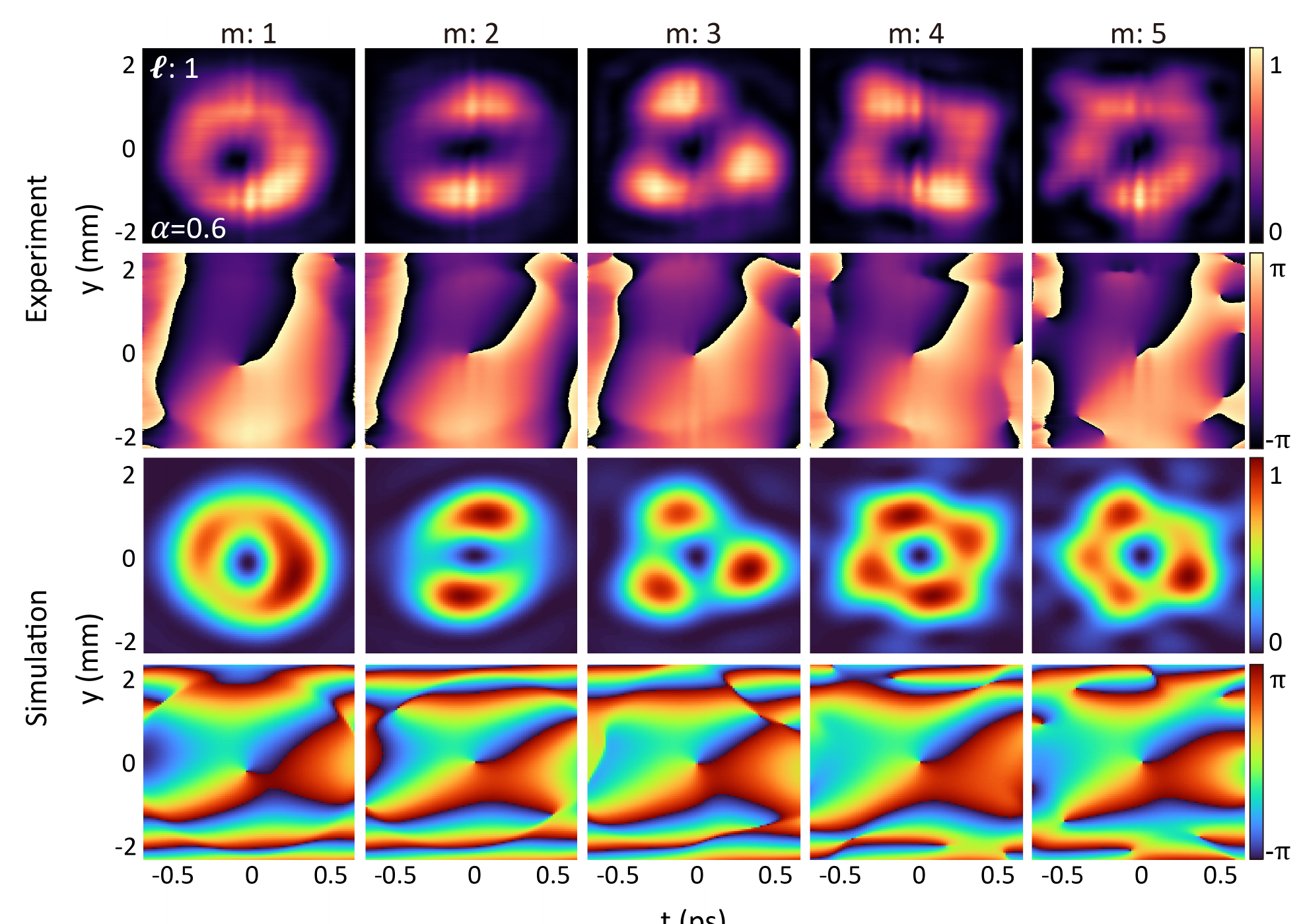 Experimental and simulated spatiotemporal vortex fields compared across azimuthal modulation frequencies